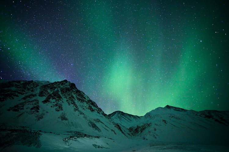 'Dzika Ameryka'. Zdjęcia z nowego serialu Discovery Channel