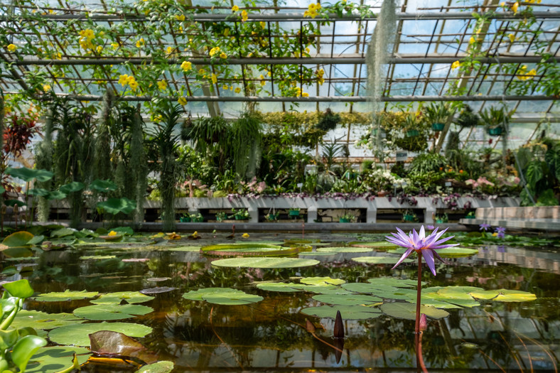 Ogród Botaniczny, Kraków