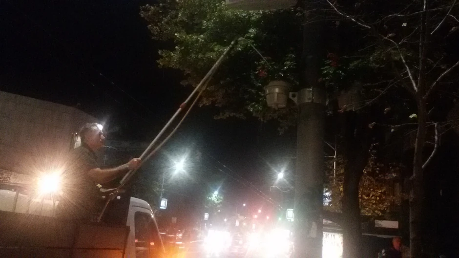 Zalivanje cveća pred ponoć