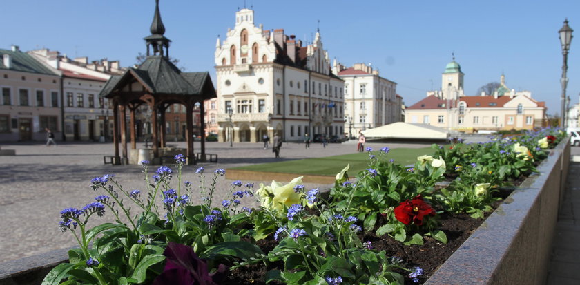 Rzeszów rozkwitł bratkami. Na ulicach jak w ogródku