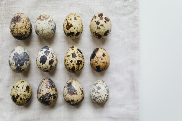 Jajka przepiórcze są zdrowsze niż jajka kurze. Niewiele osób o tym wie