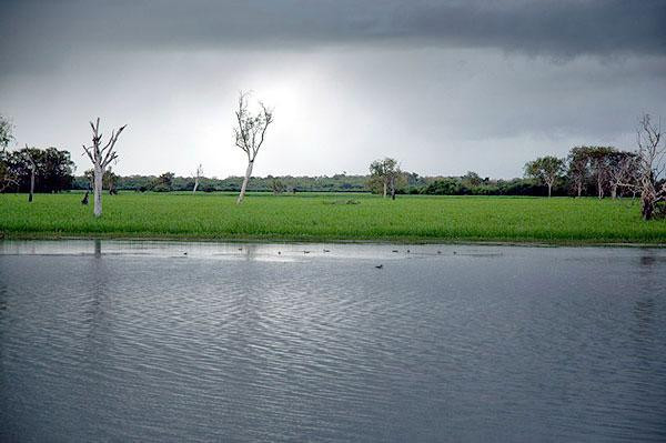 Galeria Australia – Park Narodowy Kakadu, obrazek 10