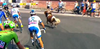 Niespodziewany gość na trasie Tour de Pologne