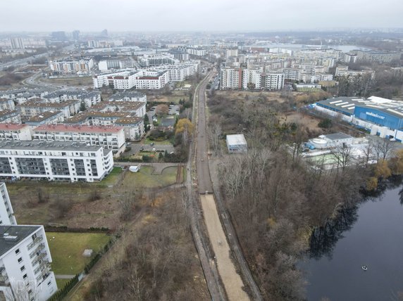 Część przebudowywanej trasy kórnickiej sąsiaduje z użytkiem ekologicznym Traszki Ratajskie fot. PIM