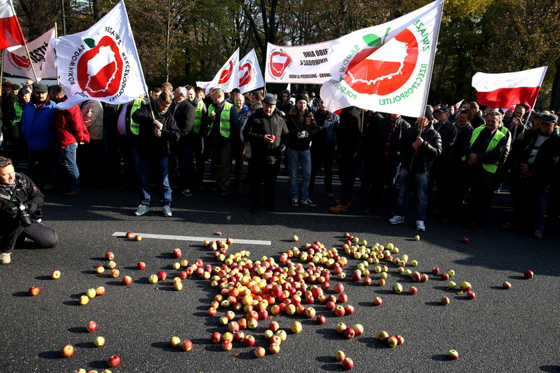 Ponad 500 sadowników demonstrowało w Warszawie. Uważają, że polskie władze nie robią wystarczająco dużo, by plantatorzy mogli funkcjonować.