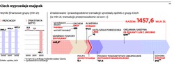 Ciech wyprzedaje majątek