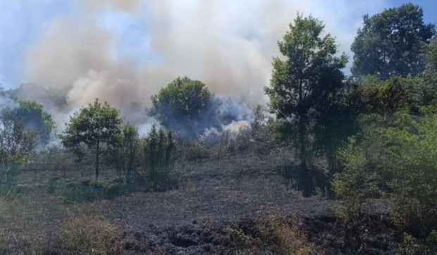 Požar u Ribarskoj banji