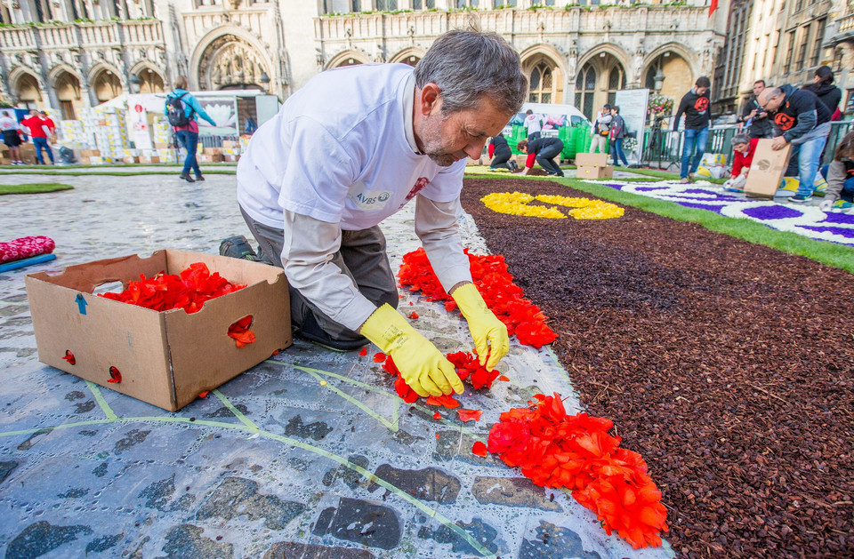 BELGIUM FLOWER CARPET (20th edition of the Flower Carpet in Brussels)