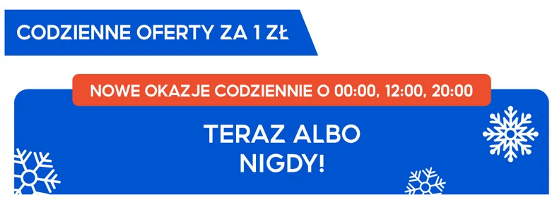 W Shopee znajdziemy codzienne oferty za jedyne 1 zł