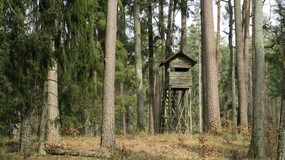 Rządzący biorą się za myśliwych. Niedługo mogą już tak łatwo nie postrzelać