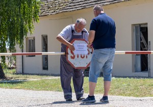 Farma svinja