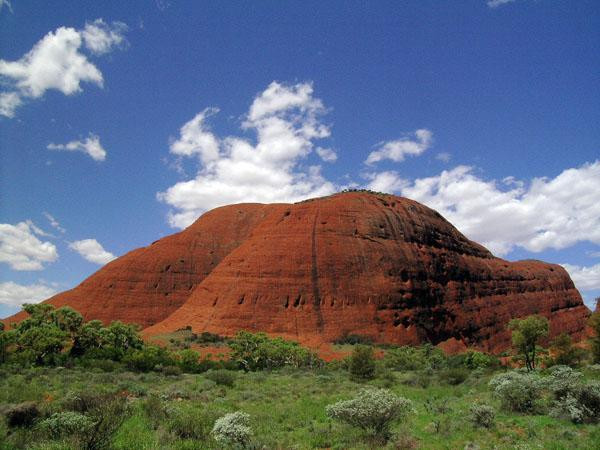 Galeria Australia - Uluru i Kata Tjuta, obrazek 16