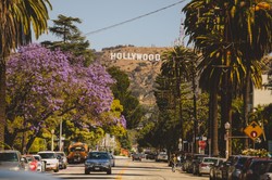 Hollywood w obliczu strajku tysięcy pracowników. Produkcje filmów zagrożone