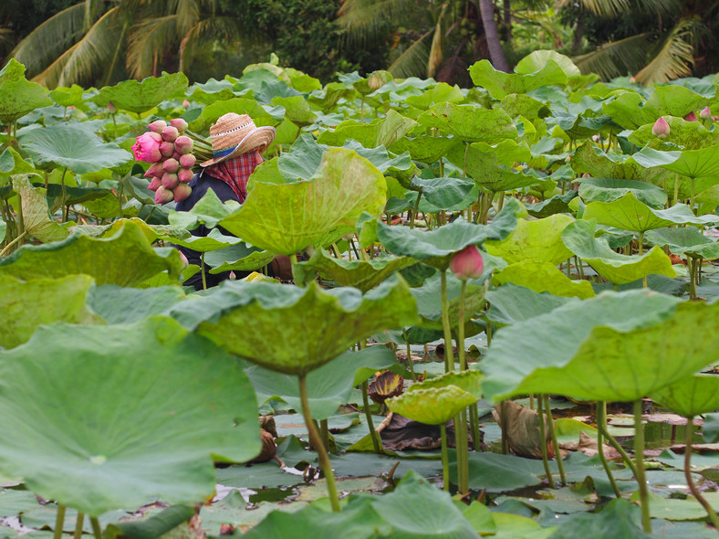 Mahasawat, Kanchanaburi 