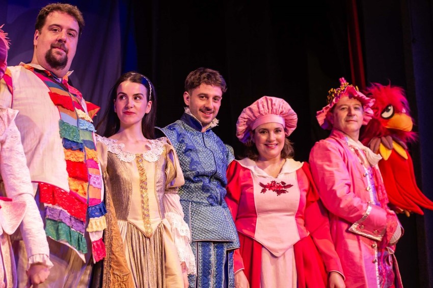 Predstava "Princeza na zrnu graška"