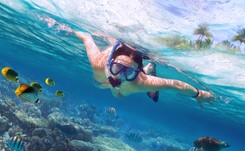 Nie masz odwagi na głębsze nurkowanie? Odkryj snorkeling