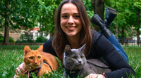 A kutyák mellett a terápiás macskáknak is oltári nagy szerepe van a mentális egészség megőrzésében