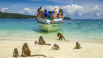 Állati: a thaiföldi tengerparton akár majmokkal is lazíthat - fotók