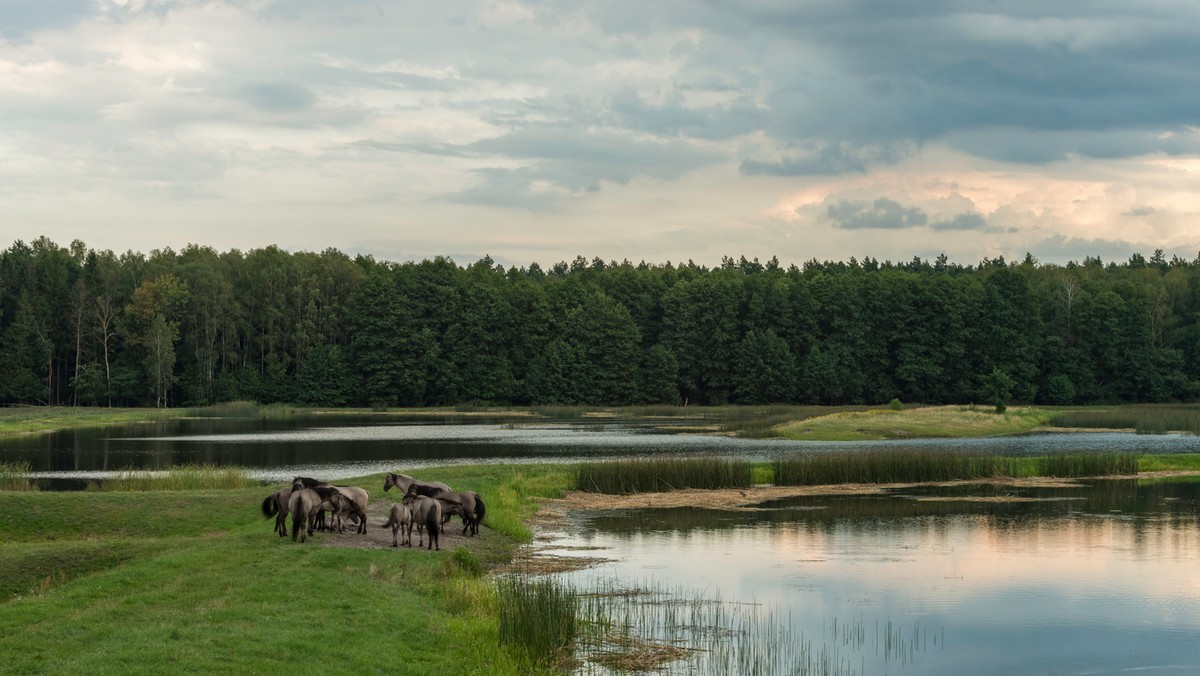 Dzień otwarty roztoczańskiego parku narodowego 2018