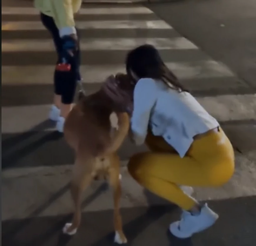 Julija i Natalija Đukić - fitnes bliznakinje (Foto: Screenshot TikTok/fitness.bliznakinje)