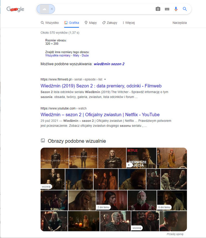 Wyniki wyszukiwania w Grafice Google 
