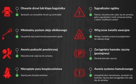 Co Oznaczają Kontrolki W Samochodzie? Zobacz, Zanim Zepsujesz Silnik [Infografika] - Dziennik.pl