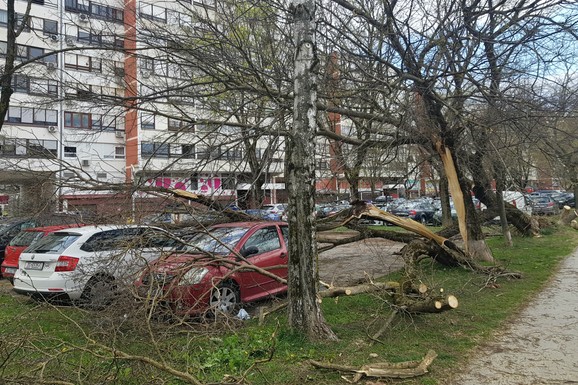 HAOS NAKON NEVREMENA U HRVATSKOJ Skoro 700 intervencija vatrogasaca za 24 sata