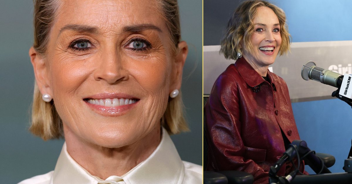 Sharon Stone on Plastic Surgery: Actress Reveals Her Changing Views & Health Journey