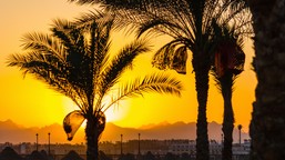 ważna wiadomość dla turystów. egipt masowo zamyka biura podróży