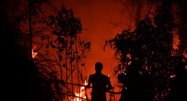 The culprit behind the smog-belching blazes raging in Indonesia are usually illegal fires set to clear land for farming