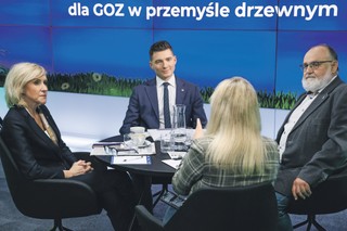 Drewno: miliony ton potencjału blokują przepisy