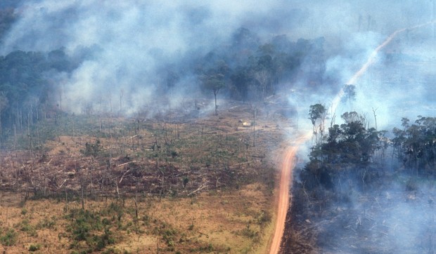 brazil amazon požari