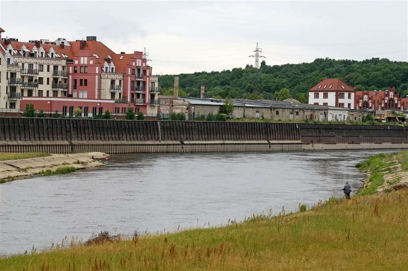 Ten piesek jest... małą syrenką!