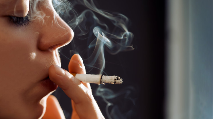 A legszigorúbb dohányzás ellenes szabályozások környezetünkben. Tudja, hol nem szabad rágyújtania? / Illusztráció: Northfoto