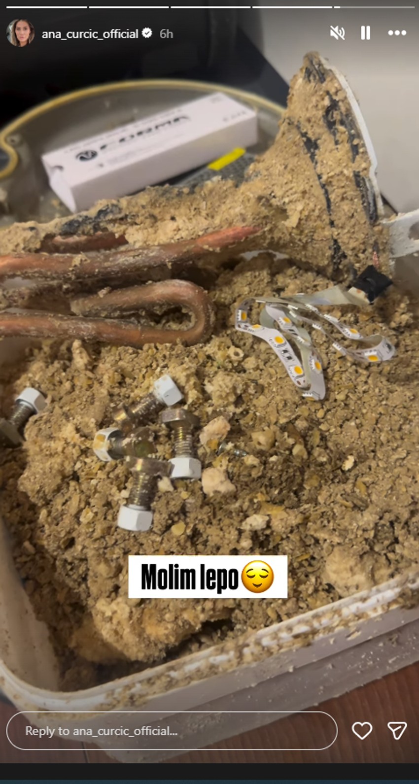 Ana Ćurčić objava