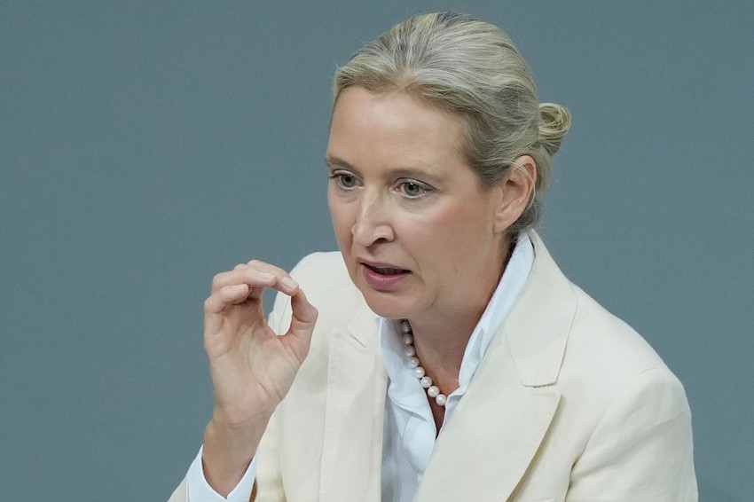 Koliderka AfD-a Alis Vajdel