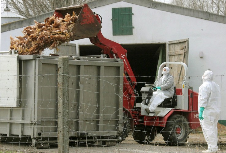 Jeżeli wirus zacznie mutować mogą zginąć miliony ludzi