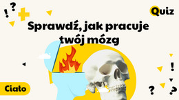 Ciało Sprawdź, jak pracuje twój mózg