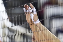 Liga Mistrzów siatkarek i siatkarzy: Polskie drużyny poznały rywali