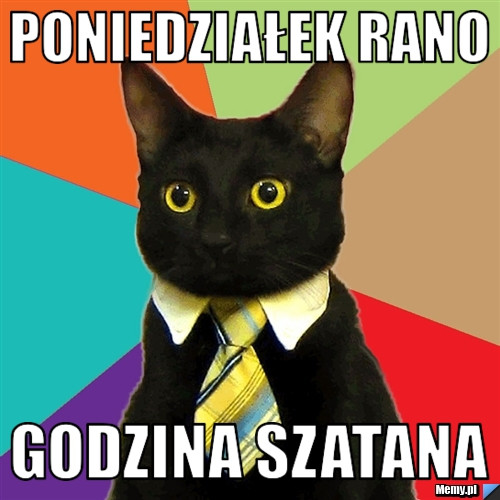 Poniedziałek - memy na dobry początek tygodnia