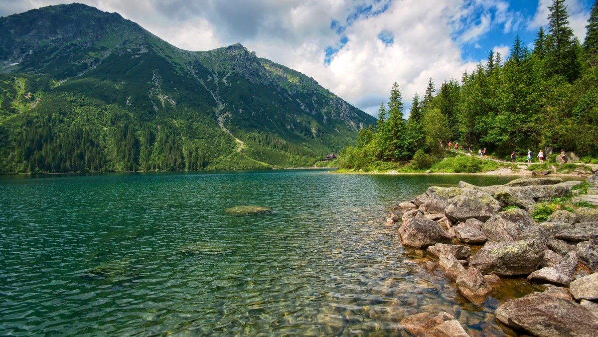 W lecie turyści odwiedzający Tatry szczególnie powinni pamiętać o szanowaniu natury, o zwierzętach, które mieszkają w górach, zwłaszcza o niedźwiedziach brunatnych – dla nich sezon turystyczny jest szczególnie niebezpieczny – apeluje Tatrzański Park Narodowy.