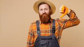 Czterokrotnie wyższe stawki dla rolników? MRiRW: Decyzja jeszcze nie zapadła