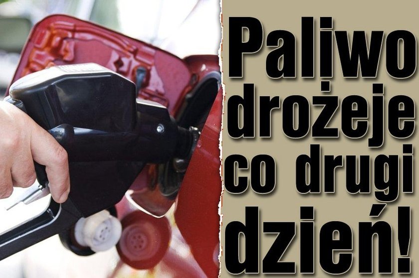 Paliwo drożeje co drugi dzień