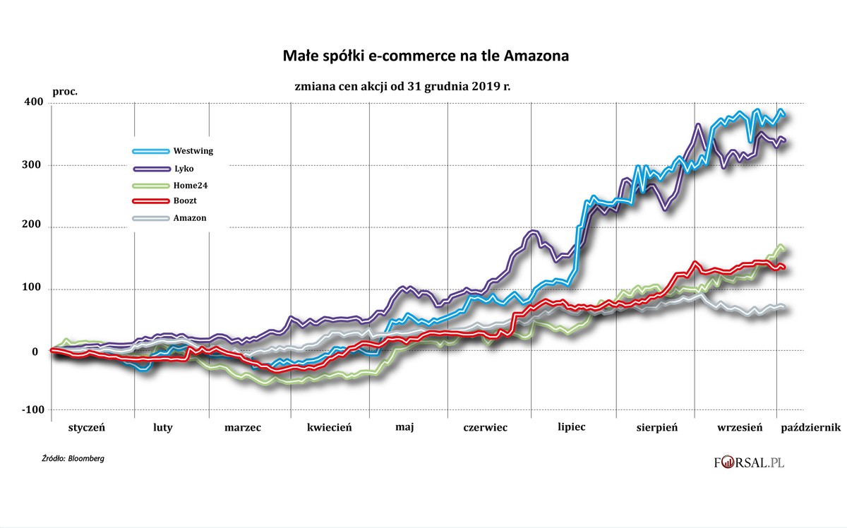 Małe spółki e-commerce na tle Amazona
