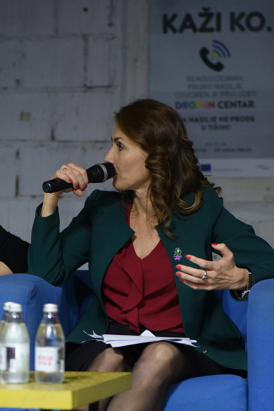 Brankica Janković, poverenica za zaštitu ravnopravnosti