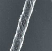 Nanorurka widoczna pod mikroskopem elektronowym.