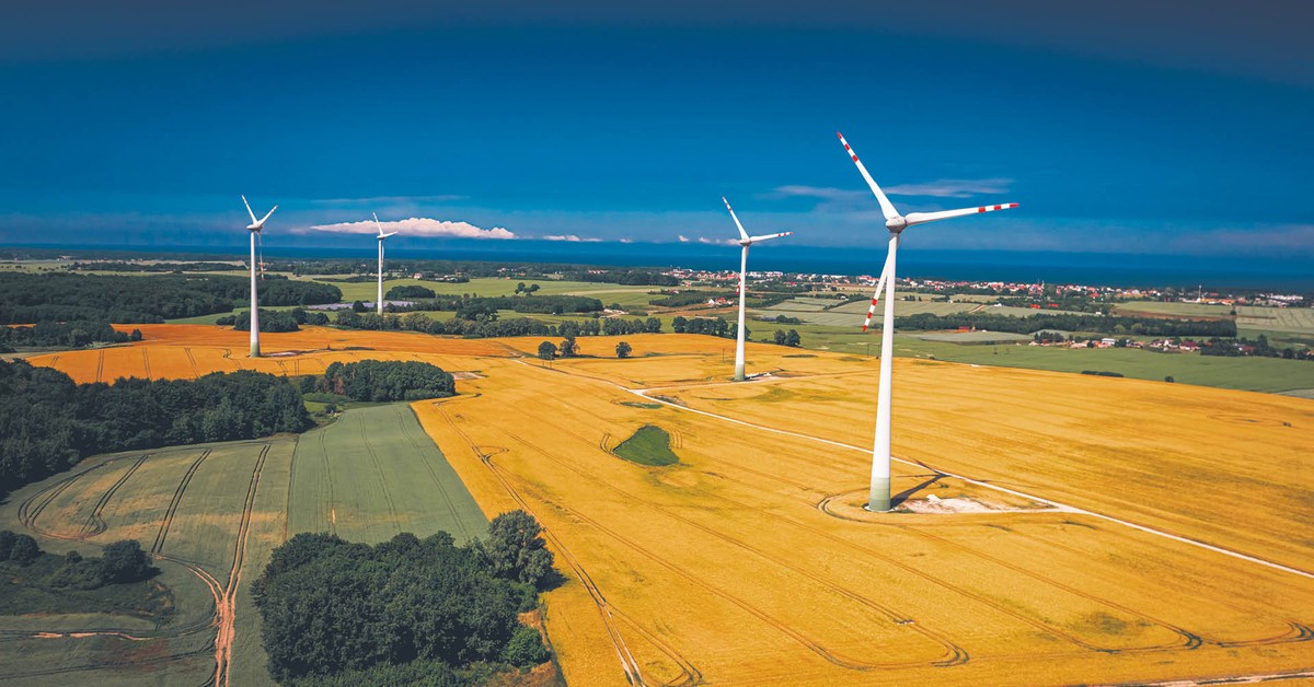 Dobra mina do weta, czyli jak spółki reagują na zablokowanie ustawy wiatrakowej