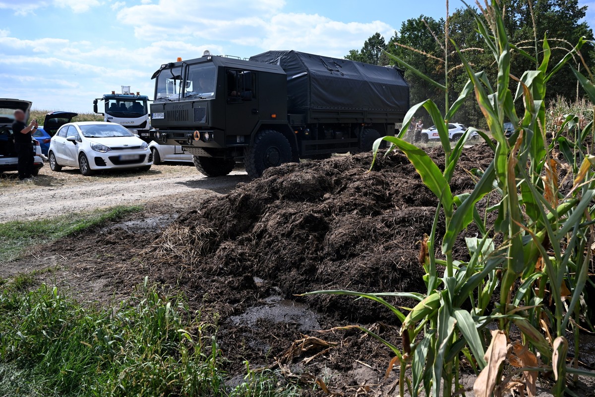Najprawdopodobniej tzw. wabik – taki charakter miał mieć obiekt, który w nocy z wtorku na środę spadł na pole kukurydzy w Osinach w powiecie łukowskim. Według źródła w Ministerstwie Obrony Narodowej był to dron wojskowy, pozbawiony głowicy bojowej.