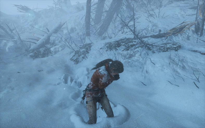 Rise of the Tomb Raider PC