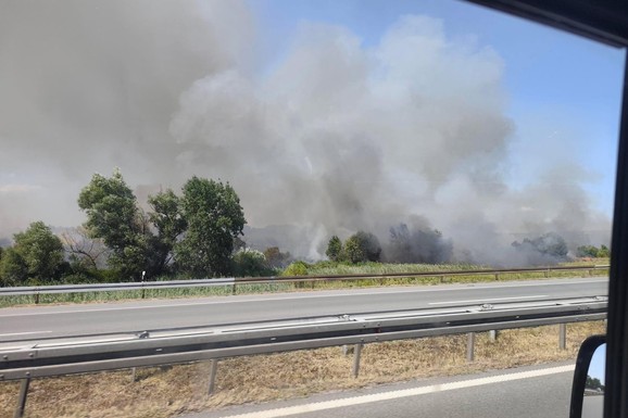 (FOTO) VELIKI POŽAR PORED AUTO-PUTA KOD UMČARA! Gusti oblaci dima se izdižu, smanjena vidljivost